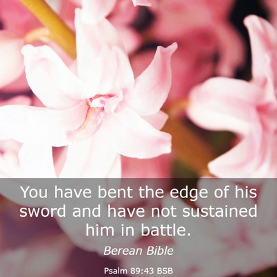 Picture 03 - Psalm 89:43 BSB - You have bent the edge of his sword and have not - Bible Verse Picture
