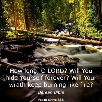 Picture 03 - Psalm 89:46 BSB - How long, O LORD? Will You hide Yourself forever? - Bible Verse Picture