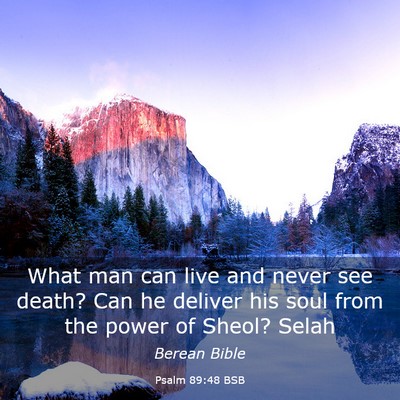 Picture 03 - Psalm 89:48 BSB - What man can live and never see death? Can he - Bible Verse Picture