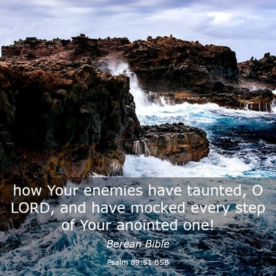 Picture 03 - Psalm 89:51 BSB - how Your enemies have taunted, O LORD, and have - Bible Verse Picture