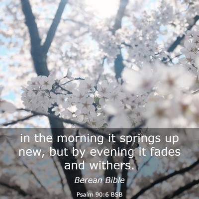 Picture 03 - Psalm 90:6 BSB - in the morning it springs up new, but by evening - Bible Verse Picture