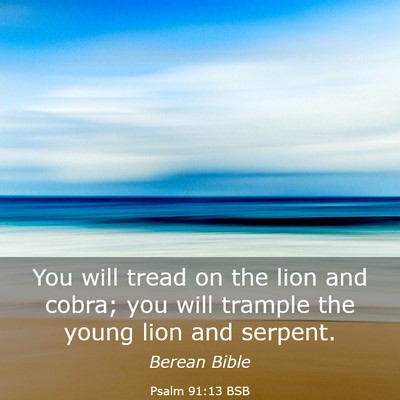 Picture 03 - Psalm 91:13 BSB - You will tread on the lion and cobra; you will - Bible Verse Picture