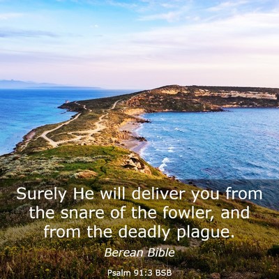 Picture 03 - Psalm 91:3 BSB - Surely He will deliver you from the snare of the - Bible Verse Picture