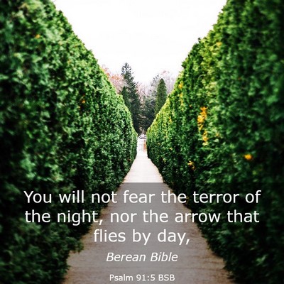 Picture 03 - Psalm 91:5 BSB - You will not fear the terror of the night, nor - Bible Verse Picture