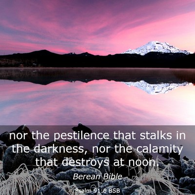 Picture 03 - Psalm 91:6 BSB - nor the pestilence that stalks in the darkness, - Bible Verse Picture