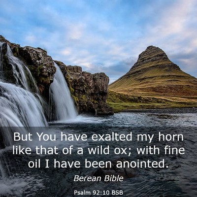 Picture 03 - Psalm 92:10 BSB - But You have exalted my horn like that of a wild - Bible Verse Picture