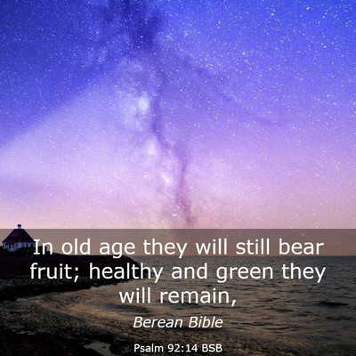 Picture 03 - Psalm 92:14 BSB - In old age they will still bear fruit; healthy - Bible Verse Picture