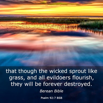 Picture 03 - Psalm 92:7 BSB - that though the wicked sprout like grass, and all - Bible Verse Picture