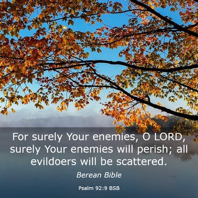 Picture 03 - Psalm 92:9 BSB - For surely Your enemies, O LORD, surely Your - Bible Verse Picture