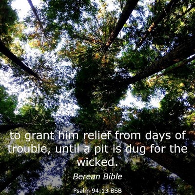 Picture 03 - Psalm 94:13 BSB - to grant him relief from days of trouble, until a - Bible Verse Picture