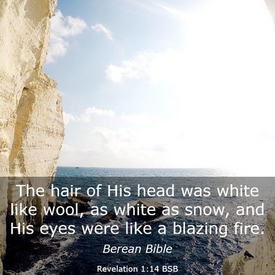 Picture 03 - Revelation 1:14 BSB - The hair of His head was white like wool, as - Bible Verse Picture