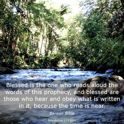 Picture 03 - Revelation 1:3 BSB - Blessed is the one who reads aloud the words of - Bible Verse Picture