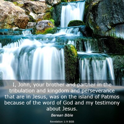 Picture 03 - Revelation 1:9 BSB - I, John, your brother and partner in the - Bible Verse Picture