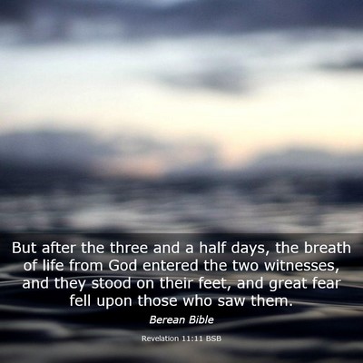 Picture 03 - Revelation 11:11 BSB - But after the three and a half days, the breath - Bible Verse Picture