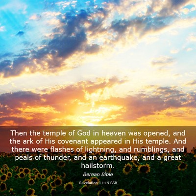 Picture 03 - Revelation 11:19 BSB - Then the temple of God in heaven was opened, and - Bible Verse Picture