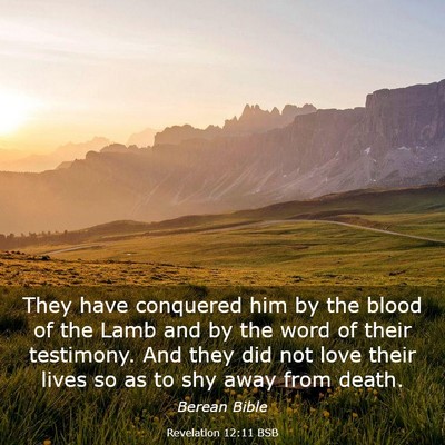 Picture 03 - Revelation 12:11 BSB - They have conquered him by the blood of the Lamb - Bible Verse Picture