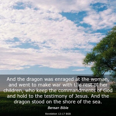 Picture 03 - Revelation 12:17 BSB - And the dragon was enraged at the woman, and went - Bible Verse Picture
