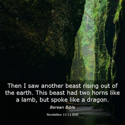 Picture 03 - Revelation 13:11 BSB - Then I saw another beast rising out of the earth. - Bible Verse Picture