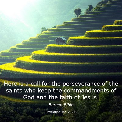 Picture 03 - Revelation 14:12 BSB - Here is a call for the perseverance of the saints - Bible Verse Picture