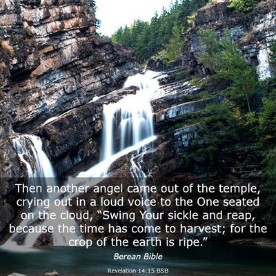Picture 03 - Revelation 14:15 BSB - Then another angel came out of the temple, crying - Bible Verse Picture