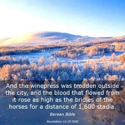 Picture 03 - Revelation 14:20 BSB - And the winepress was trodden outside the city, - Bible Verse Picture