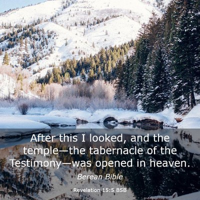 Picture 03 - Revelation 15:5 BSB - After this I looked, and the temple—the - Bible Verse Picture