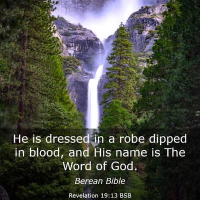 Picture 03 - Revelation 19:13 BSB - He is dressed in a robe dipped in blood, and His - Bible Verse Picture