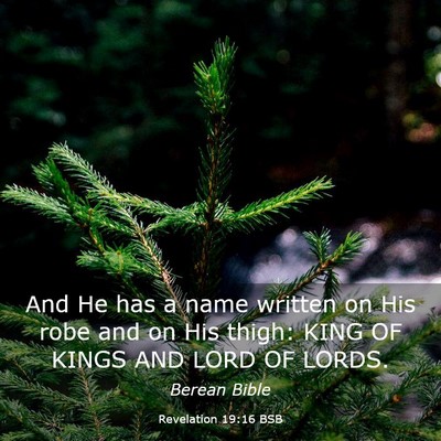 Picture 03 - Revelation 19:16 BSB - And He has a name written on His robe and on His - Bible Verse Picture