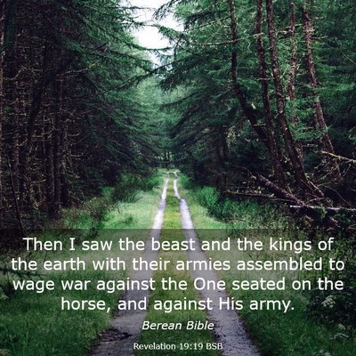 Picture 03 - Revelation 19:19 BSB - Then I saw the beast and the kings of the earth - Bible Verse Picture