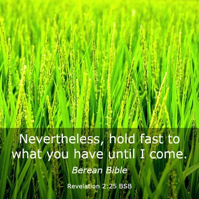 Picture 03 - Revelation 2:25 BSB - Nevertheless, hold fast to what you have until I - Bible Verse Picture