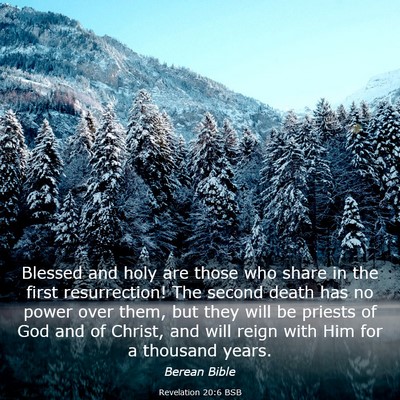 Picture 03 - Revelation 20:6 BSB - Blessed and holy are those who share in the first - Bible Verse Picture