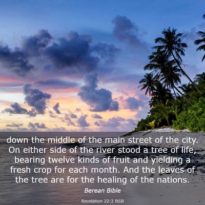 Picture 03 - Revelation 22:2 BSB - down the middle of the main street of the city. - Bible Verse Picture