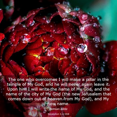 Picture 03 - Revelation 3:12 BSB - The one who overcomes I will make a pillar in the - Bible Verse Picture