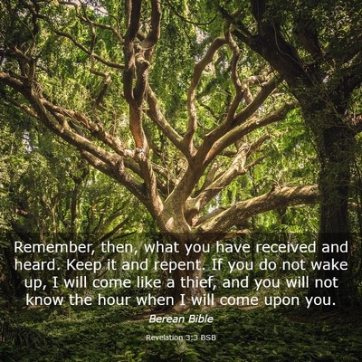 Picture 03 - Revelation 3:3 BSB - Remember, then, what you have received and heard. - Bible Verse Picture