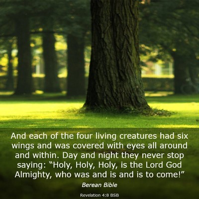 Picture 03 - Revelation 4:8 BSB - And each of the four living creatures had six - Bible Verse Picture