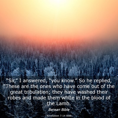 Picture 03 - Revelation 7:14 BSB - “Sir,” I answered, “you know.” So he - Bible Verse Picture