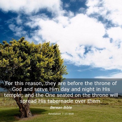 Picture 03 - Revelation 7:15 BSB - For this reason, they are before the throne of - Bible Verse Picture