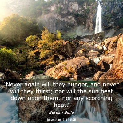 Picture 03 - Revelation 7:16 BSB - ‘Never again will they hunger, and never will - Bible Verse Picture