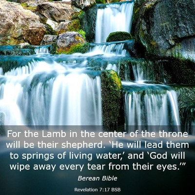 Picture 03 - Revelation 7:17 BSB - For the Lamb in the center of the throne will be - Bible Verse Picture