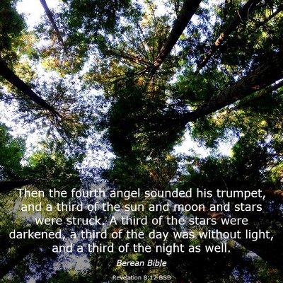 Picture 03 - Revelation 8:12 BSB - Then the fourth angel sounded his trumpet, and a - Bible Verse Picture