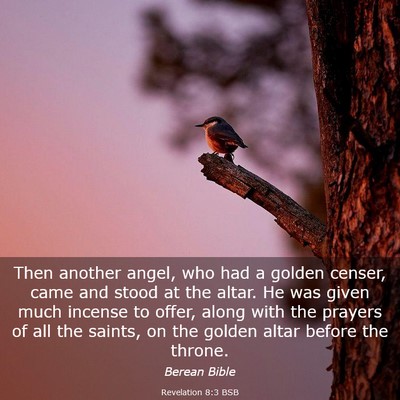 Picture 03 - Revelation 8:3 BSB - Then another angel, who had a golden censer, came - Bible Verse Picture