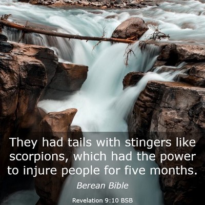 Picture 03 - Revelation 9:10 BSB - They had tails with stingers like scorpions, - Bible Verse Picture