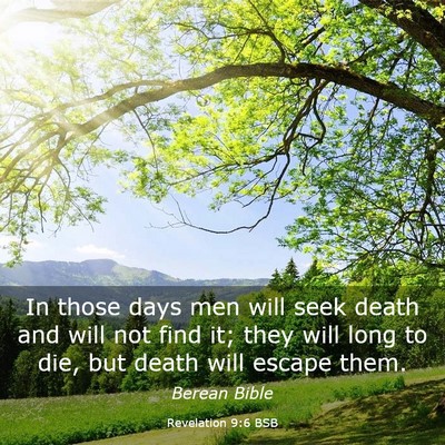 Picture 03 - Revelation 9:6 BSB - In those days men will seek death and will not - Bible Verse Picture