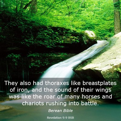 Picture 03 - Revelation 9:9 BSB - They also had thoraxes like breastplates of iron, - Bible Verse Picture