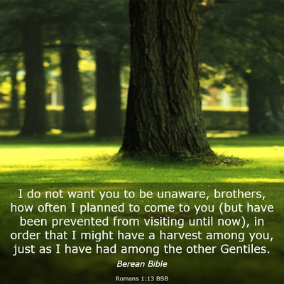 Picture 03 - Romans 1:13 BSB - I do not want you to be unaware, brothers, how - Bible Verse Picture