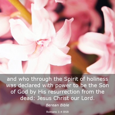 Picture 03 - Romans 1:4 BSB - and who through the Spirit of holiness was - Bible Verse Picture