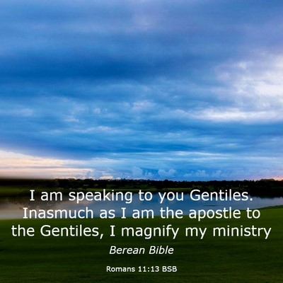 Picture 03 - Romans 11:13 BSB - I am speaking to you Gentiles. Inasmuch as I am - Bible Verse Picture
