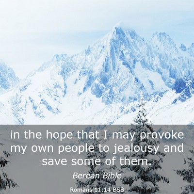 Picture 03 - Romans 11:14 BSB - in the hope that I may provoke my own people to - Bible Verse Picture