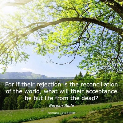 Picture 03 - Romans 11:15 BSB - For if their rejection is the reconciliation of - Bible Verse Picture