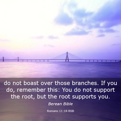 Picture 03 - Romans 11:18 BSB - do not boast over those branches. If you do, - Bible Verse Picture